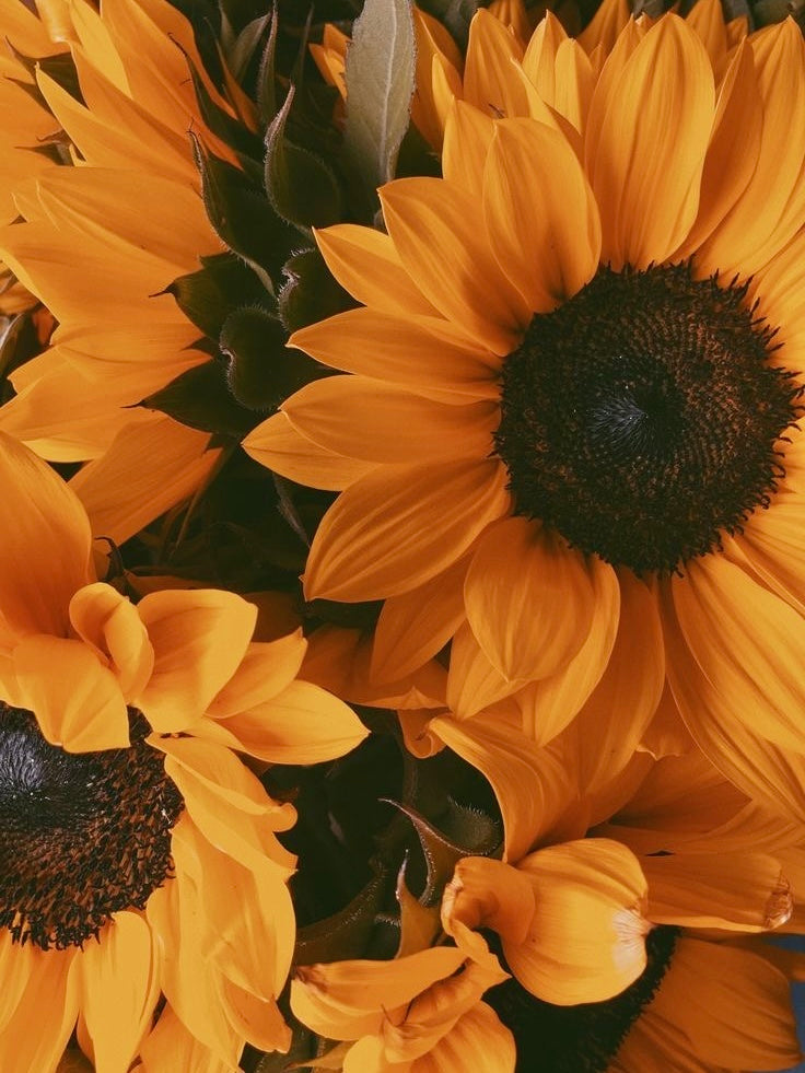 Sunflower Bracelet