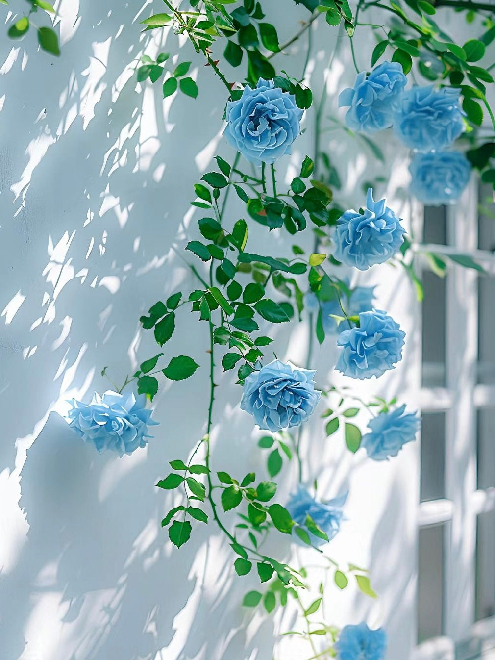 Blue Camellia Bracelet