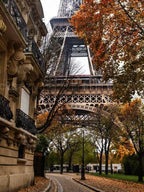 Autumn in Paris Bracelet