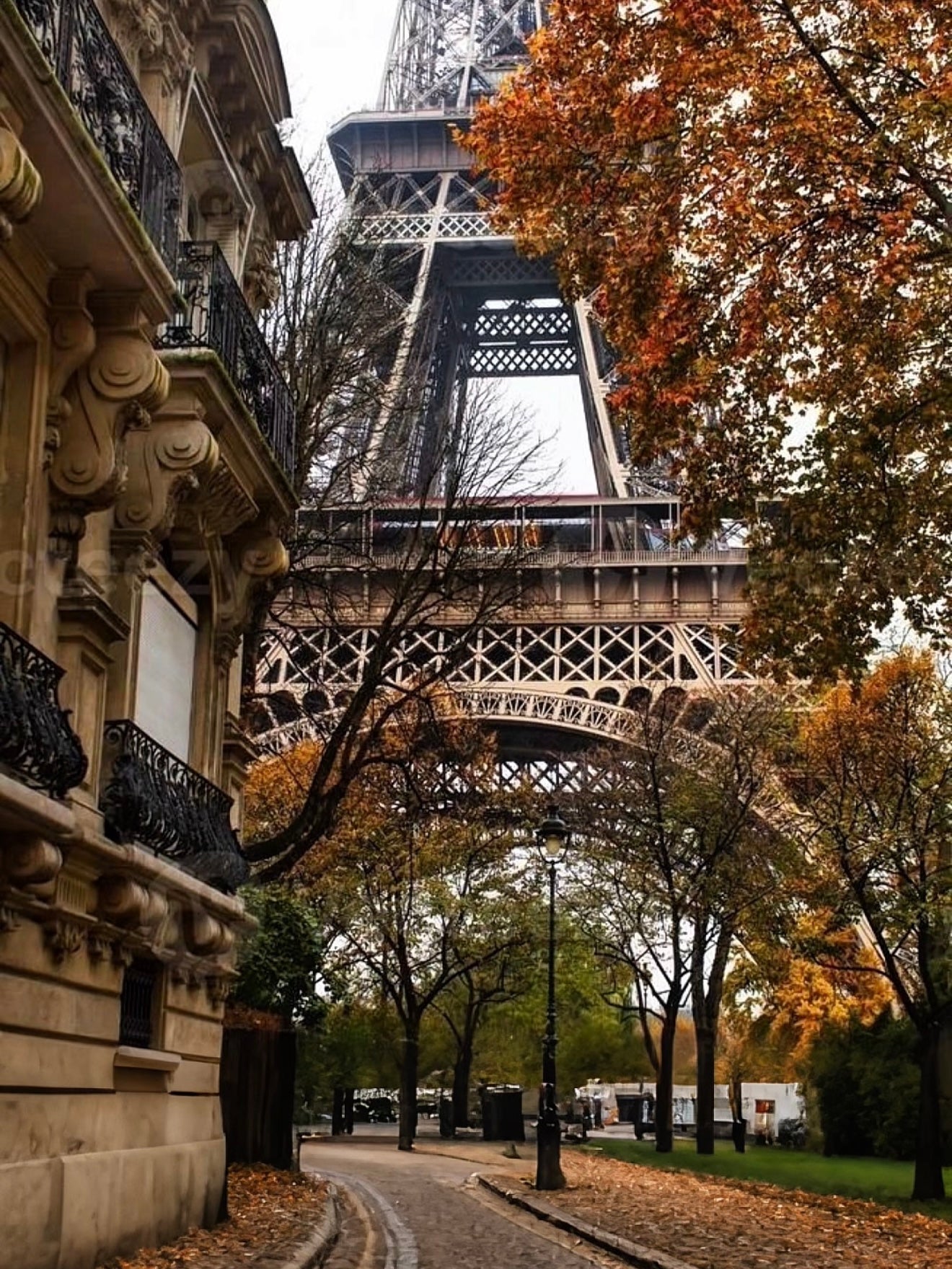 Autumn in Paris Bracelet