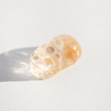 Load image into Gallery viewer, Garden Quartz Pixiu

