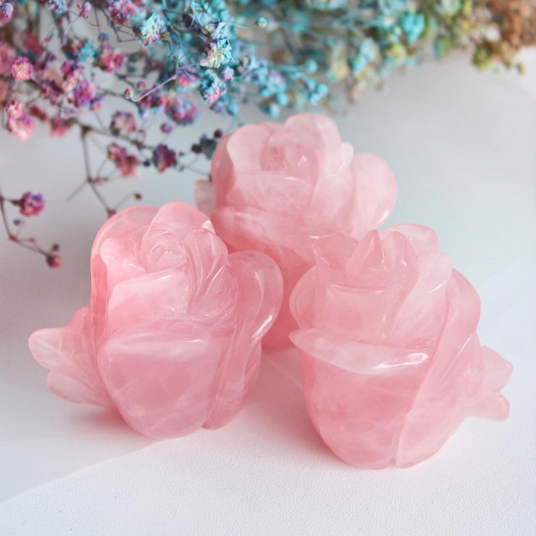 Rose Quartz Rose