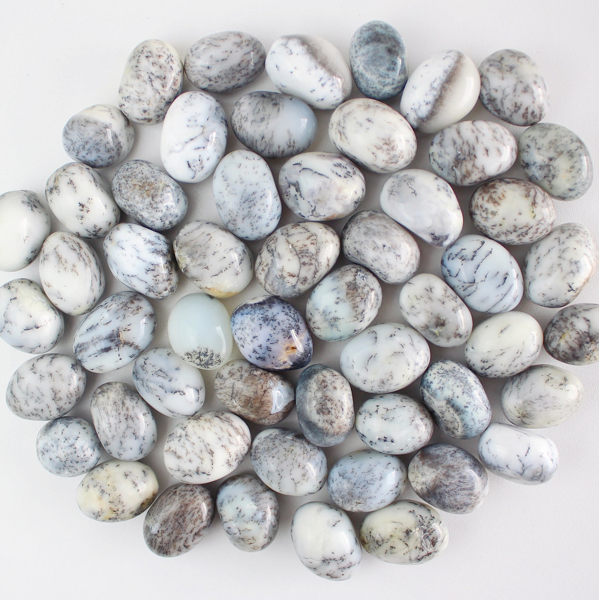 Dendritic Agate Tumbled Stone