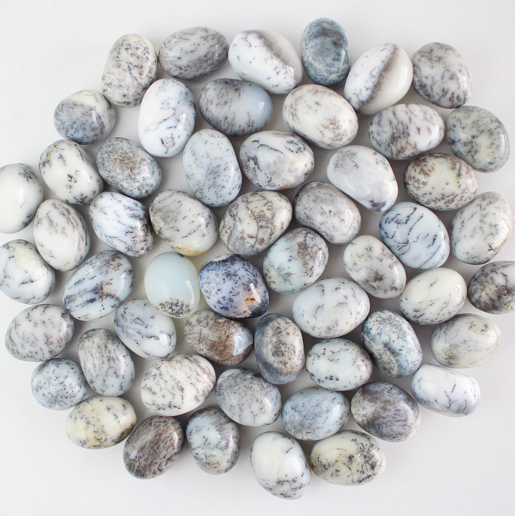 Dendritic Agate Tumbled Stone