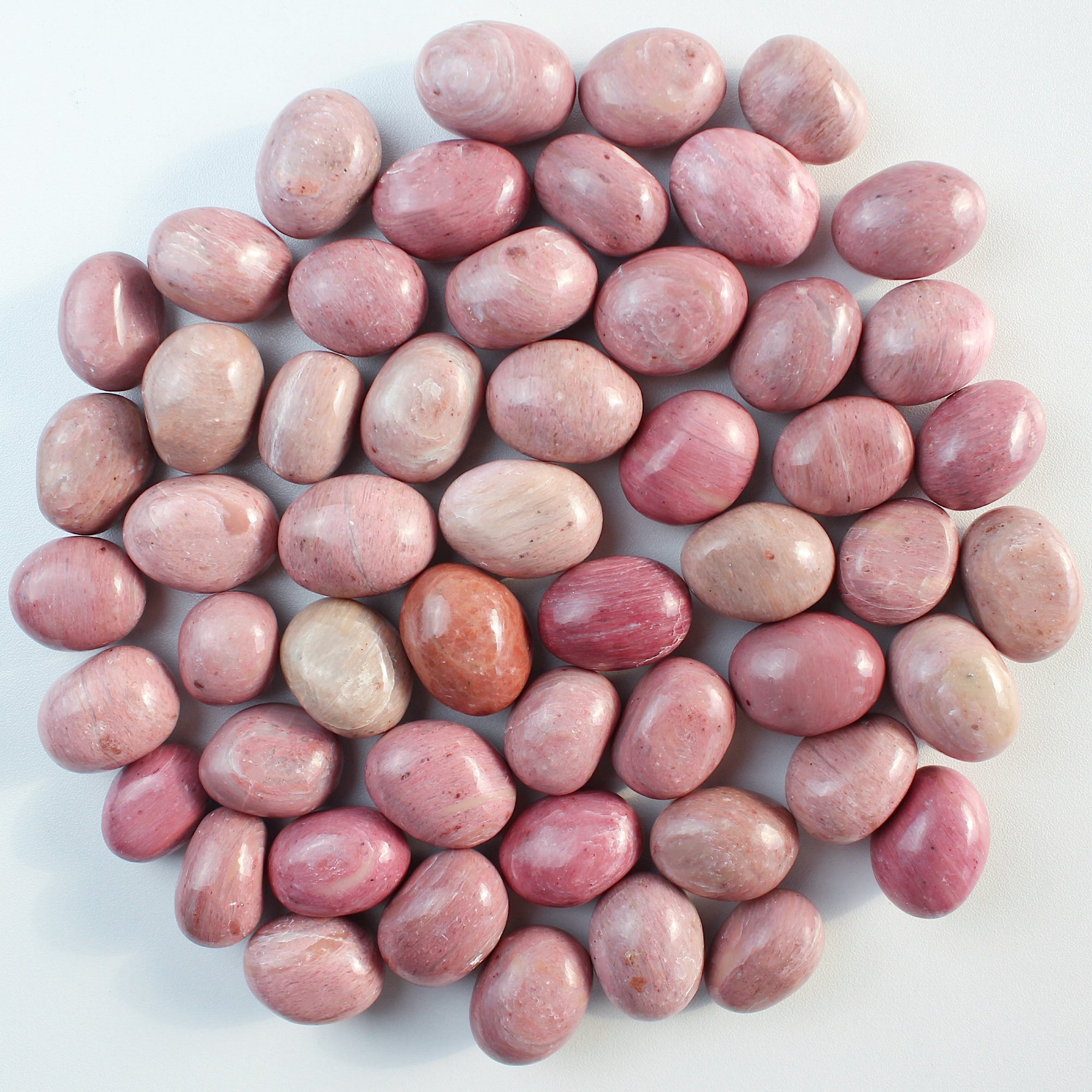 Pink Petrified Wood Tumbled Stone