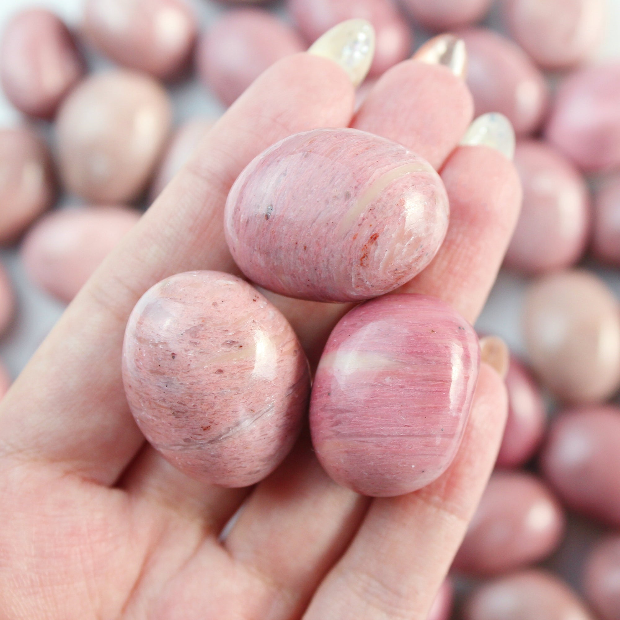 Pink Petrified Wood Tumbled Stone